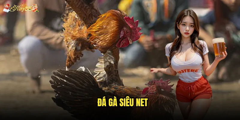 Đá Gà Siêu Net