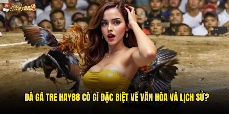 Đá gà tre hay88 có gì đặc biệt về văn hóa và lịch sử?