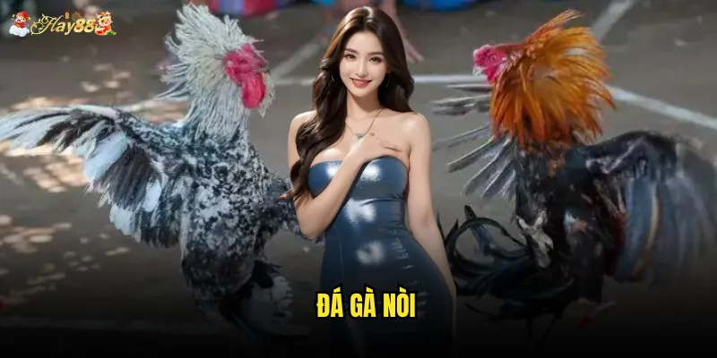 Đá gà nòi